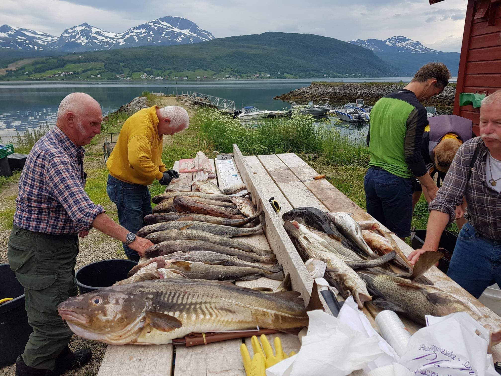 fishing aa-gard lavangen